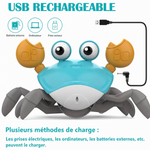Jouets de crabe rampant vue 5