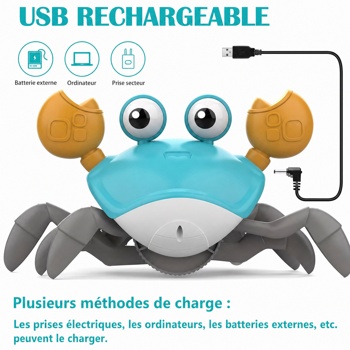 Crabe rampant